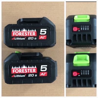 Акумуляторна пила Forester Fbs-21/16bm, 40v, з двома акб 5.0 + 1л масло