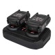 Зарядное устройство для аккумуляторов Vitals Professional LSL 1835-2P SmartLine