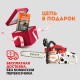 Пила цепная бензиновая Sturm 2 кВт, 355 мм GC9939