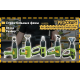 Фен промышленный Procraft industrial PH2500