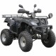Квадроцикл Spark SP175-1