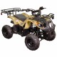 Квадроцикл Spark SP110-3