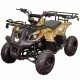 Квадроцикл Spark SP110-3