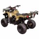 Квадроцикл Spark SP110-3