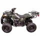 Квадроцикл Spark SP110-3