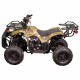 Квадроцикл Spark SP110-3