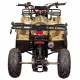 Квадроцикл Spark SP110-3